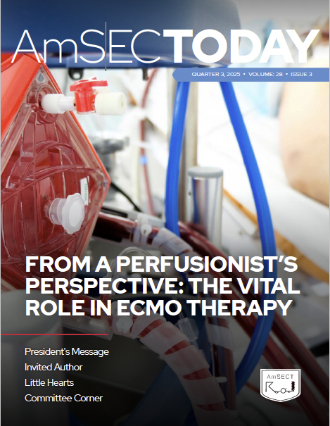 AmSECToday 2025 Q3 Cover