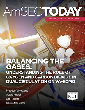 AmSECToday 2026 Q3 Cover