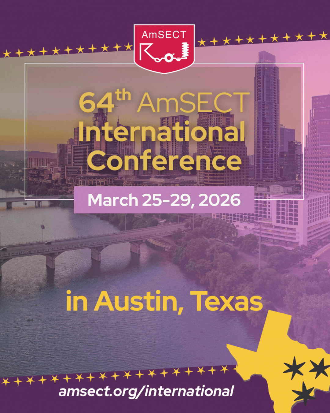 AmSECT International Conference Promotional Banner