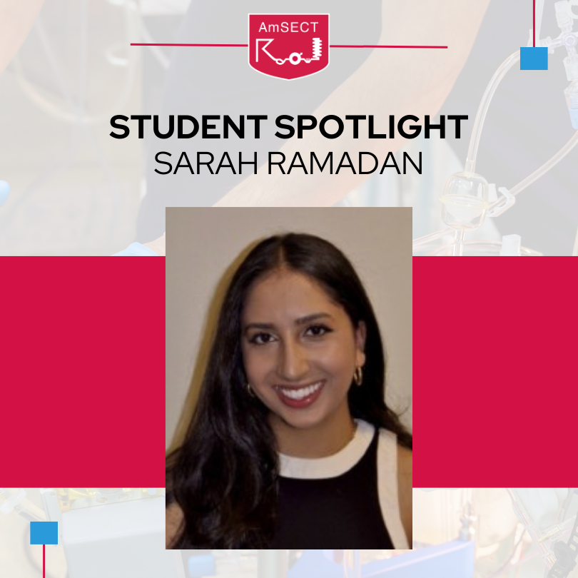 Student Spotlight, Sarah Ramadan