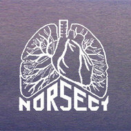 NORSECT logo
